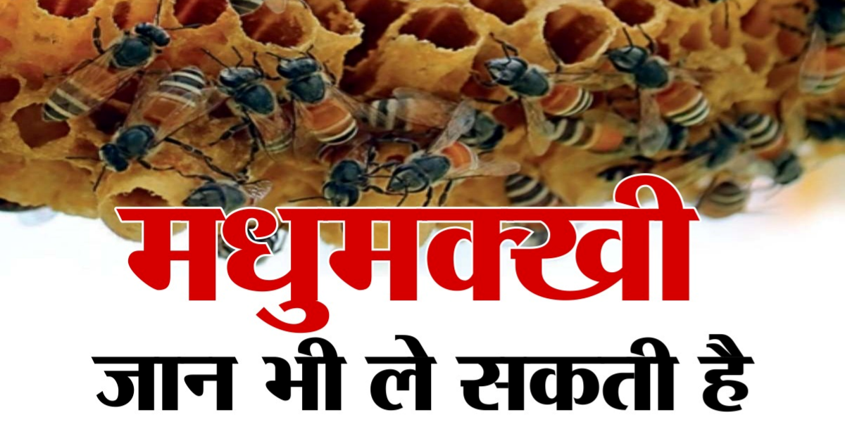 जावद में मधुमक्खियों के आतंक से लोग परेशान,15 दिनों में चौथा मामला आया सामने पढ़े पूरी खबर…