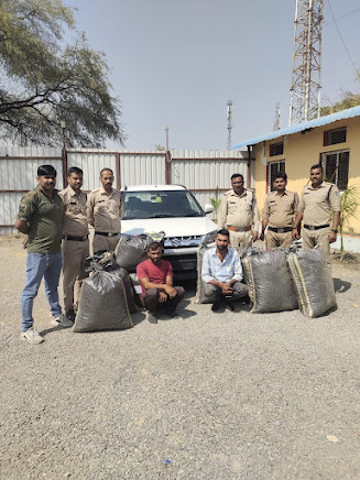 अवैध मादक पदार्थ की तस्करी पर नयागांव पुलिस की कारवाई,सफेद रंग की ब्रेजा कार से 191 किलोग्राम अवैध मादक पदार्थ डोडाचूरा किया जप्त,दो आरोपी भी गिरफ्तार,पढ़िए यह पूरी खबर।