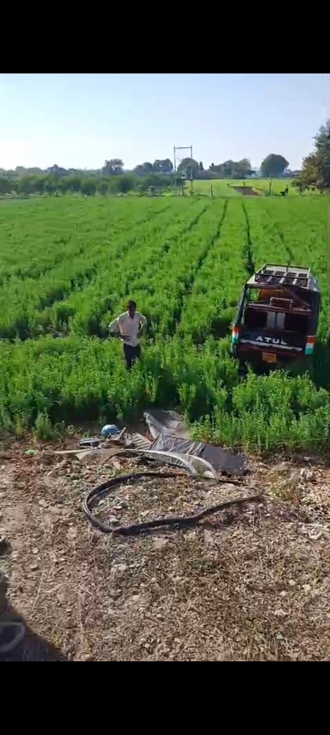 डायल-112 बनी जीवनरक्षक! दुर्घटनाग्रस्त ऑटो के दो घायलों को समय पर अस्पताल पहुँचाया। पढ़े पूरी खबर।